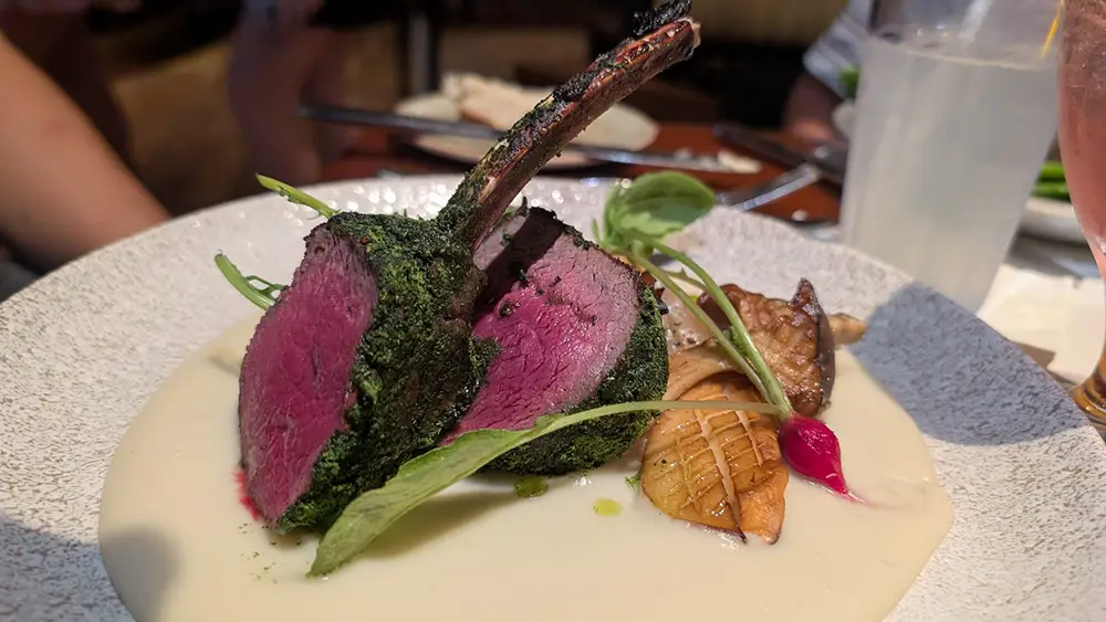 A plated dish featuring a herb-crusted lamb chop on creamy sauce, garnished with grilled mushrooms, microgreens, and a radish—perfect for families to enjoy during a magical dinner at Disney’s Animal Kingdom Lodge. - Favorite Grampy Travels